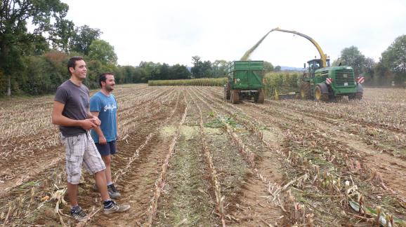 Florent Leportier et Côme Delaunay, devant un chantier d\'ensilage dans un champ de maïs, à Faverolles (Orne), le 27 septembre 2017.&nbsp;