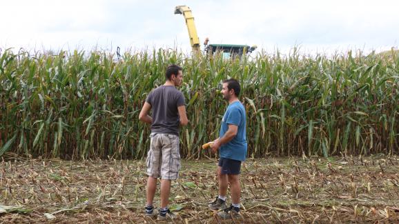 Florent Leportier (à gauche) et Côme Delaunay (à droite), devant un champ de maïs appartenant à l\'exploitation de Côme, le 27 septembre 2017 à Faverolles (Orne).&nbsp;