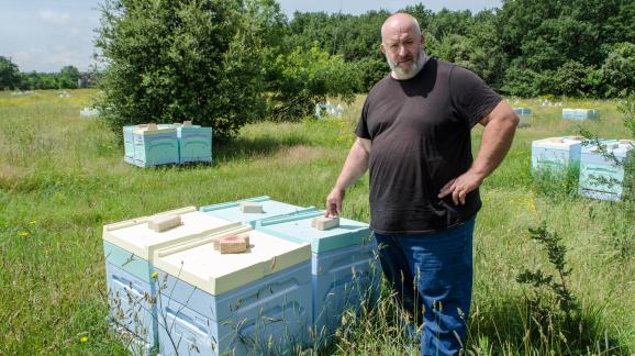 Pascal Thiry, apiculteur à Montélimar, dans l\'un de ses ruchers, le 5 juin 2018.