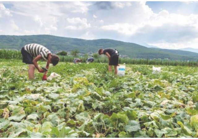 1280 élus signent le Pacte Bio 2017 pour une alimentation d’intérêt général
