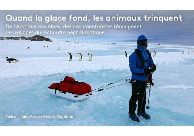 Terre des Ours - Survivre