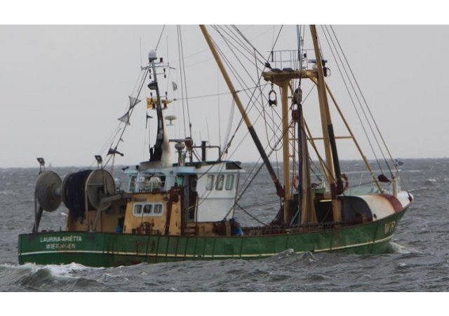 Le parlement européen interdit, enfin, la pêche électrique !