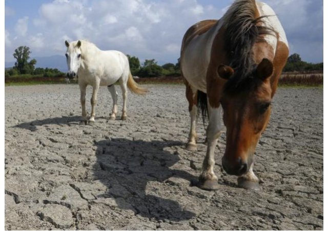 CARTES. Sécheresse : 81 départements touchés, dont 26 en 