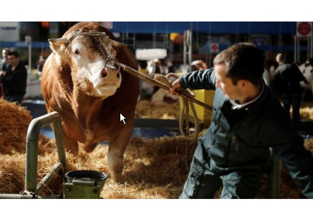L'urgence est dans le pré : 4 pistes pour sortir l'agriculture des crises à répétition.