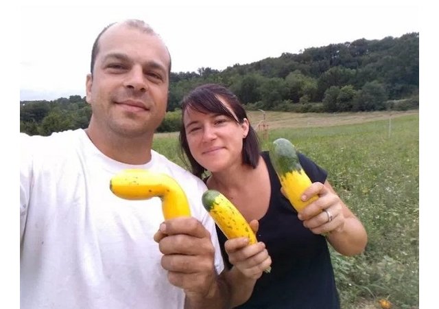 Coup de gueule de maraichers bio. ! 