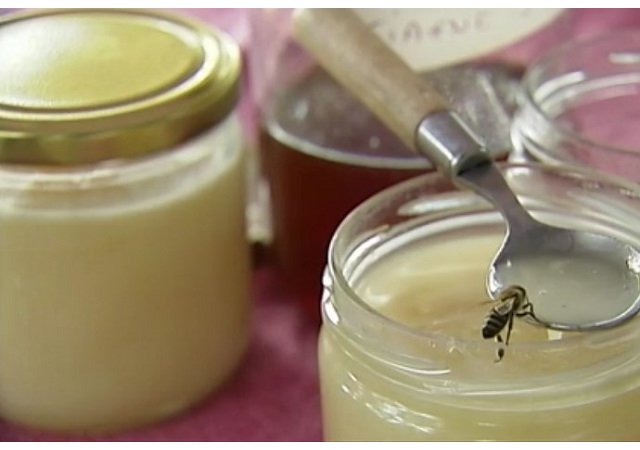 La production de miel continue de chuter et les abeilles de mourir