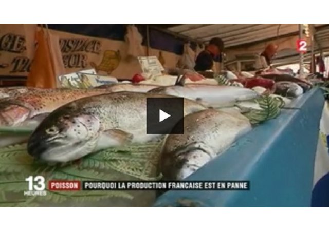 Poisson : pourquoi la production française est en panne