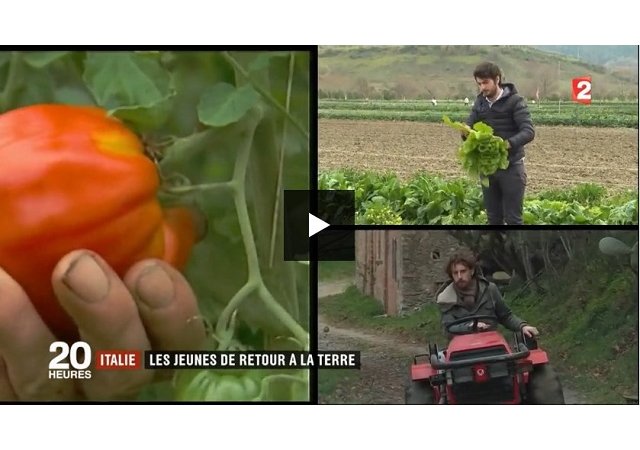 Italie : les jeunes se tournent vers l'agriculture