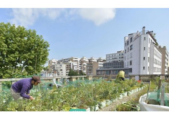 L’agriculture urbaine
