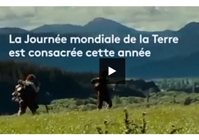 On a essayé d'enlever tout le plastique d'une maison (et il ne reste plus grand chose)