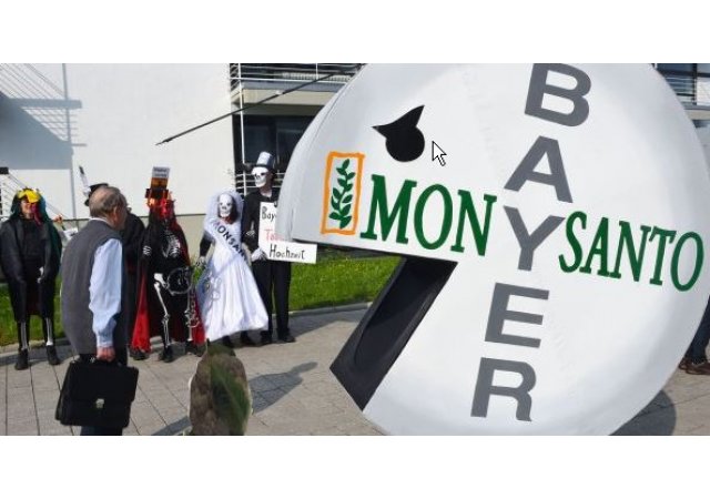 Monsanto et Bayer vont fusionner. 