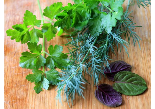 La santé par les plantes 