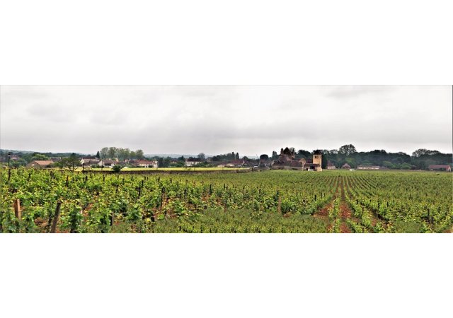 Bienvenue en Bourgogne Franche-Comté  