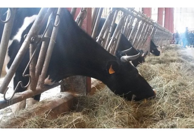 Agriculture bio : les producteurs français craignent un assouplissement des normes