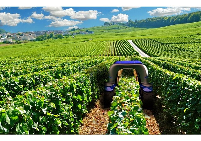 Robots, intelligence artificielle... A quoi va ressembler l'agriculture du futur?