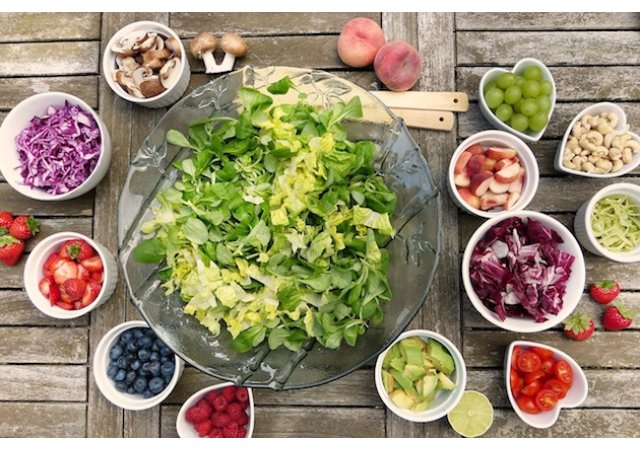 Bio : Premiers résultats