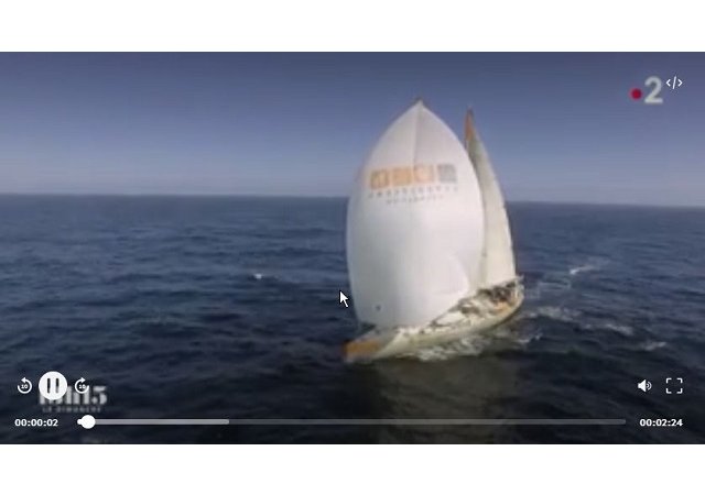 VIDEO. La Terre ne serait pas vivable sans le plancton