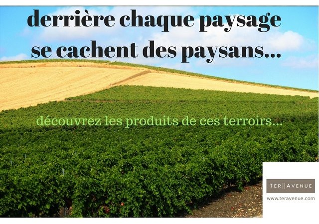 Les exploitations agricoles en France: 200 fermes de moins chaque  semaine !