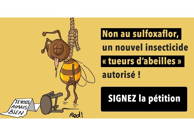 PETITION - Non au sulfoxaflor, un nouvel insecticide « tueurs d'abeilles » autorisé !