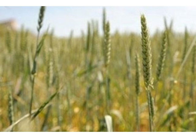 Un département Bio et une escapade gourmande:  La Loire Atlantique