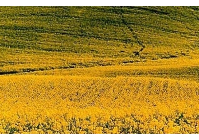 Un département Bio et une escapade gourmande:  Le GERS