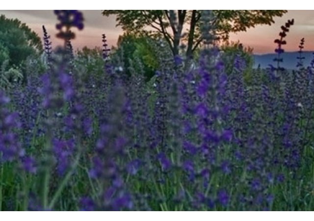 Un département Bio et une escapade gourmande: La Drôme