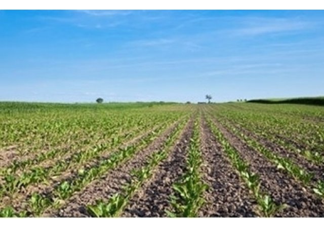 Un départements Bio et une escapade gourmande dans l'Aveyron