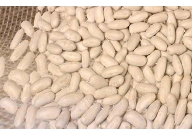 Un département Bio et une escapade gourmande: La Vendée