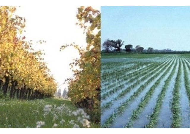 Un département bio et une  escapade  gourmande: les Bouches du Rhône