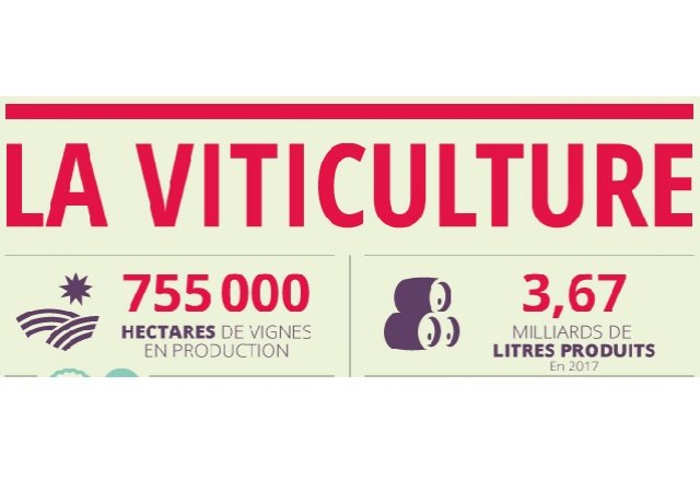 Le poids de la viticulture en France !
