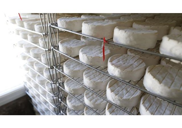 Camembert : la guerre des appellations en passe d'être résolue