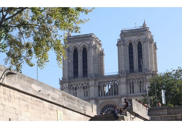 Les abeilles du toit sont saines et sauves