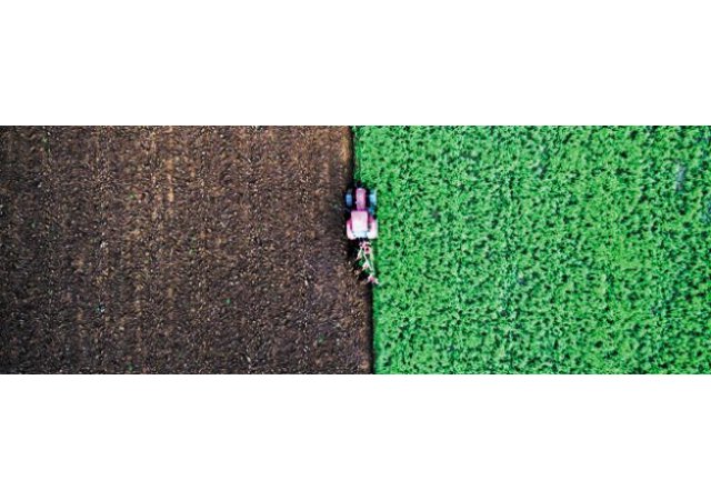 La fin du modèle agricole unique