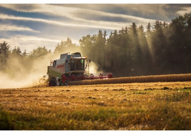 Filière bio : vers un changement d’échelle ?