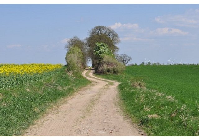 L’Allemagne livre ses terres agricoles aux spéculateurs