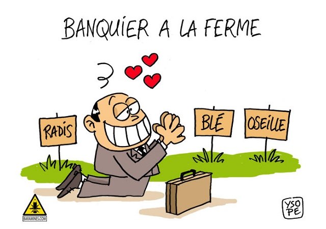 Voici les comptes nationaux provisoires de l’agriculture en 2017