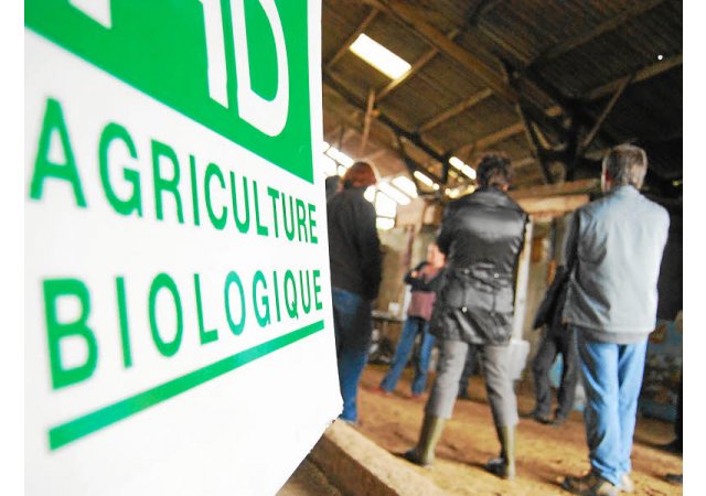 Des aides pour la conversion en bio supprimées