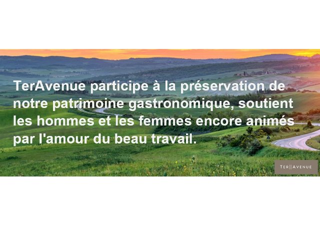 Newletter du 15 novembre 2018