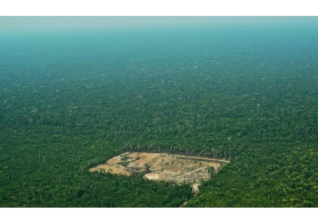 Une stratégie française, avant tout incitative