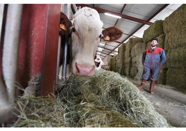 Les installations des jeunes agriculteurs en légère hausse