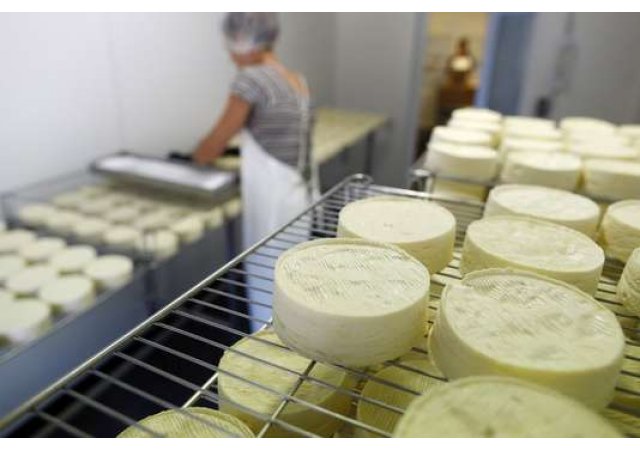 Guerre du camembert : qui décide des appellations d’origine ?