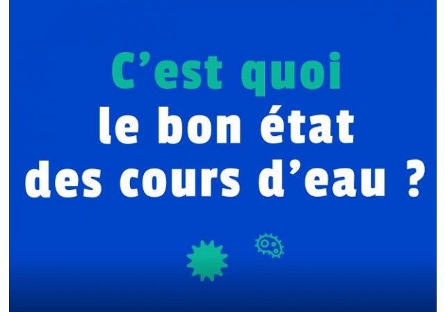 Le bon état des rivières c’est quoi ?