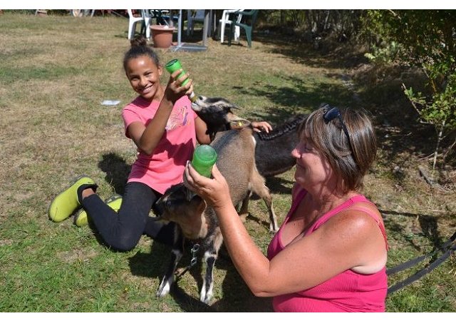 La ferme pédagogique de Péret-Bel-Air (Corrèze) accueille du public été comme hiver. 