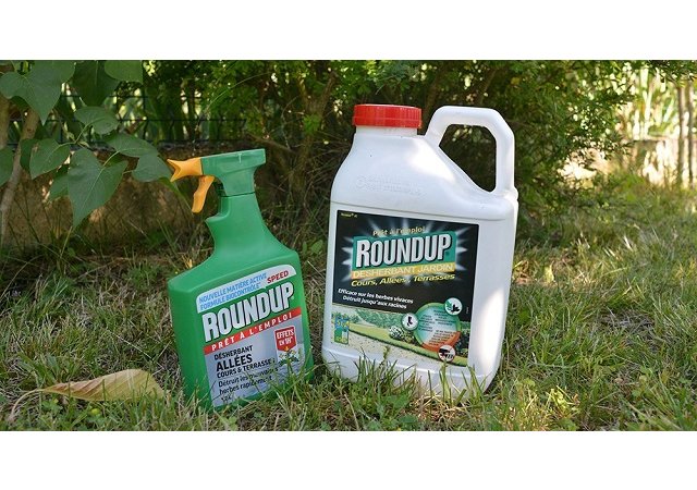 Le glyphosate est désormais interdit aux particuliers.