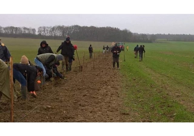 D’urgence, recréer des haies