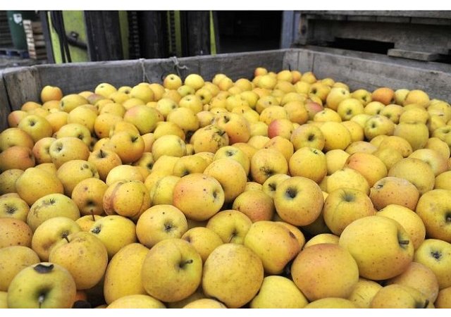 La filière pomme du Limousin s'engage à protéger les riverains de la dérive des pesticides