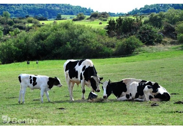 Sommet de l'élevage : cinq idées reçues sur le métier d'éleveur