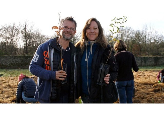 Ils font pousser des micro-forêts