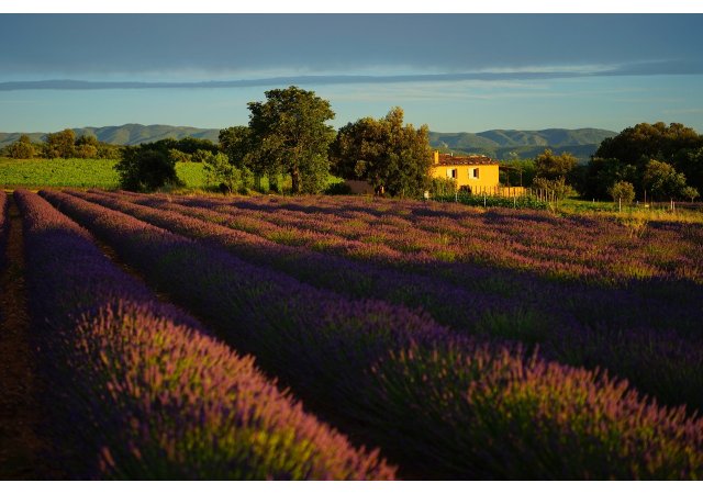 Un bon goût provençal 