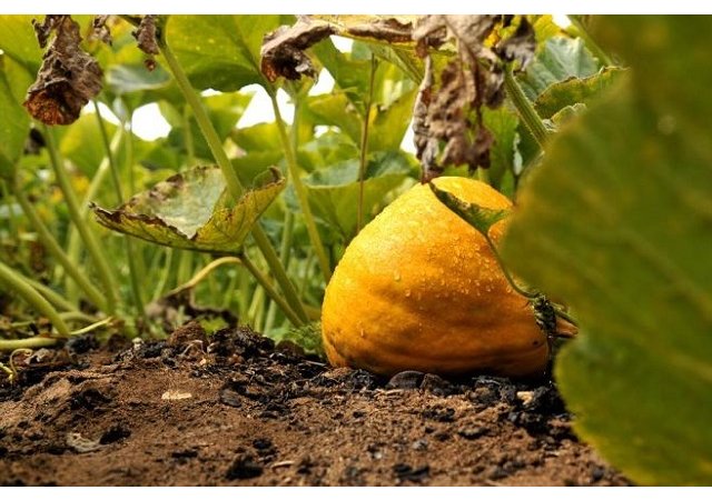 Il n'y a pas d'âge pour entreprendre !